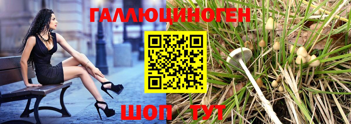 Псилоцибиновые грибы мицелий  Вход с VPN  Севастополь 