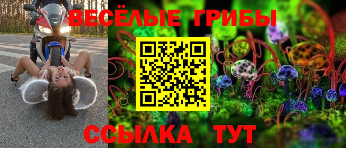 Галлюциногенные грибы Cubensis Севастополь